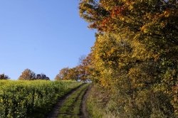 Cesta z Jánského vrchu do Javorníku