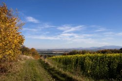 Cesta z Jánského vrchu do Javorníku