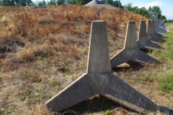 Putování za šedivými obry