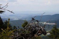 Výhled cestou na Šerák