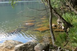 Hladina Černého jezera