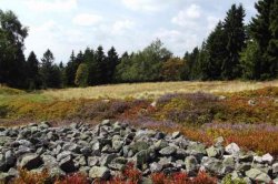 Ptačí vrch u Krásné Lípy