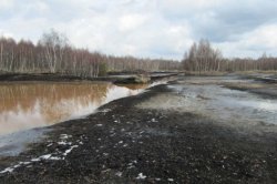 Předjaří na rašeliništi u Kladna