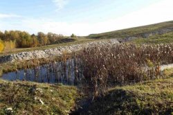 Jedna ze zdejších vodních ploch