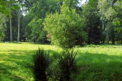 Areál se nachází v blízkosti zámku