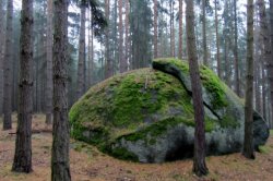 Mechová čapka na jednom z žihelských balvanů