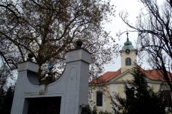 V Lánském zámku spí český lev pod sekvojí