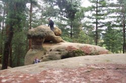 Toulky Boreckými skalami