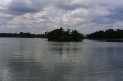 Štěpnický rybník