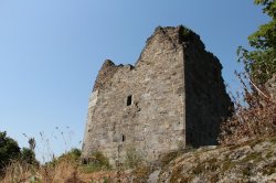 Přimda (zřícenina)