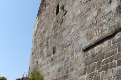 Přimda (zřícenina)