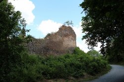 Švamberk (zřícenina)