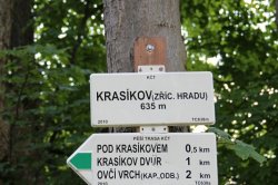 Švamberk (zřícenina)