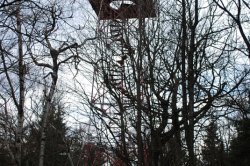 Rozhledna Žaltman v Jestřábích horách