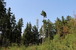 Ausguck auf dem Felsen
