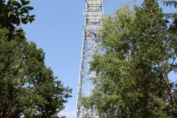Ausguck auf dem Felsen