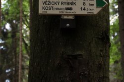 Valdštejn (hrad)