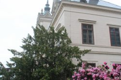 Velké Březno (Schloss)