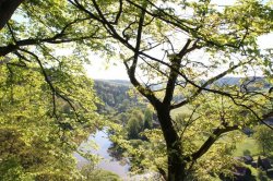 Zbořený Kostelec (zřícenina)