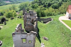 The ruins of the castle Zvířetice