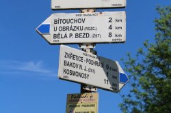 The ruins of the castle Zvířetice