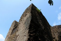 Choustník (zřícenina)