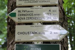 Choustník (zřícenina)