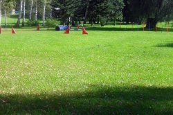 With children on a trip to Stromovka in České Budějovice