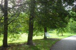 With children on a trip to Stromovka in České Budějovice