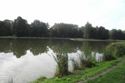 With children on a trip to Stromovka in České Budějovice
