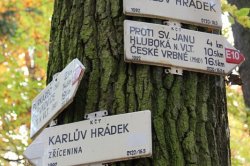 Karlův Hrádek (zřícenina)