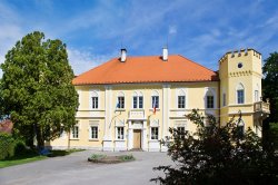 Petrovice a okolí