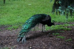 Klášterec nad Ohří Chateau