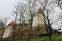 Burg Křivoklát