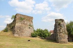 Borotín (zřícenina)