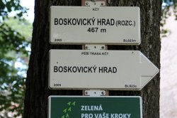 Boskovice (ruins)