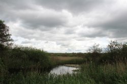 Hrabanovská černava