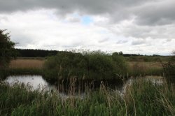 Hrabanovská černava