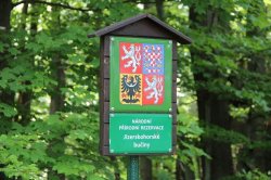 Jizerskohorské bučiny