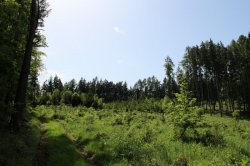 Lavičky - Kosova Berg