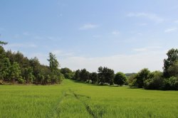 Lavičky - Kosova Berg