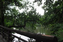 Lednice ponds