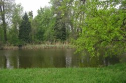 Lednice ponds