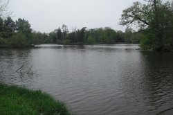 Lednice ponds