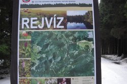 Mossy lakes on Rejvíz