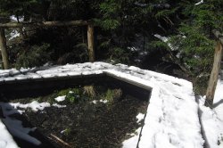 Mossy lakes on Rejvíz