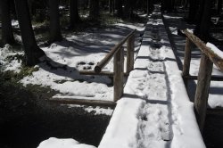 Mossy lakes on Rejvíz