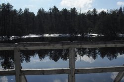 Mossy lakes on Rejvíz