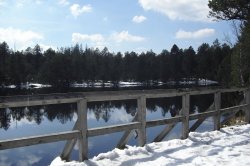 Mossy lakes on Rejvíz