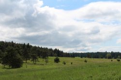 Mokřady pod Vlčkem